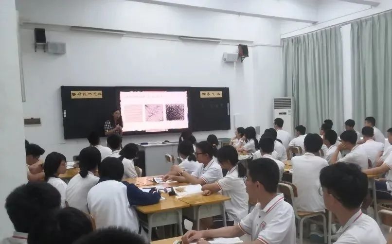 D605