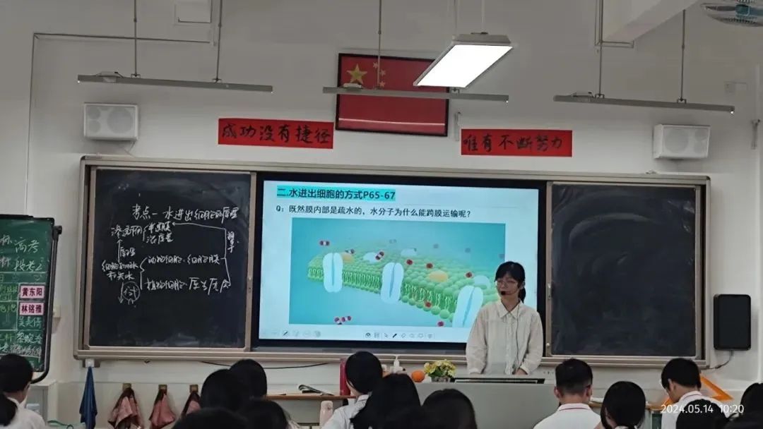 13131